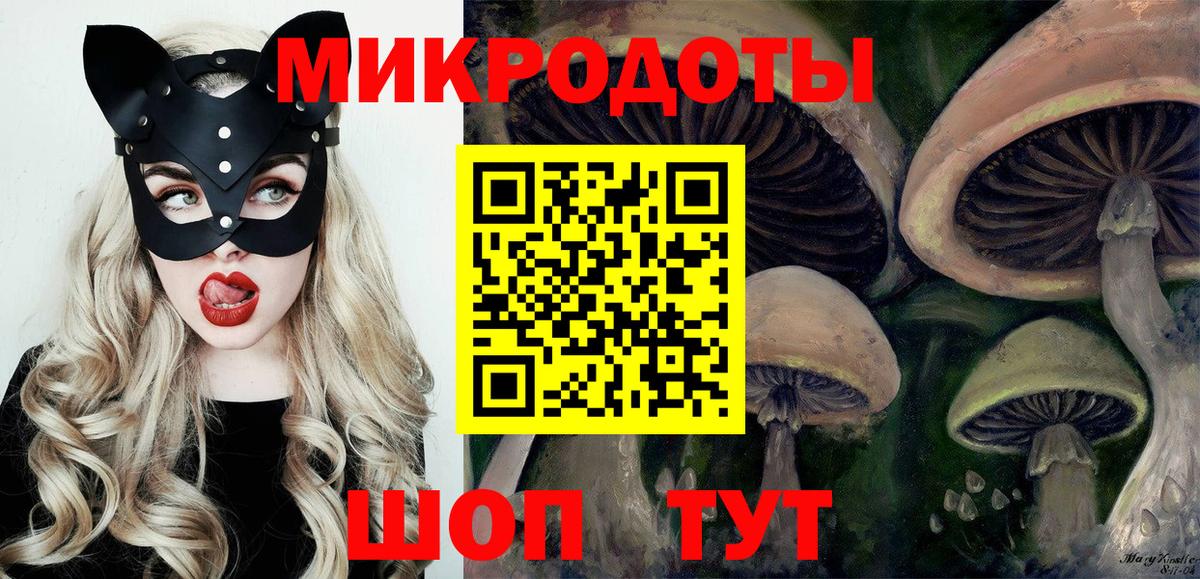 Псилоцибиновые грибы мицелий Великий Устюг