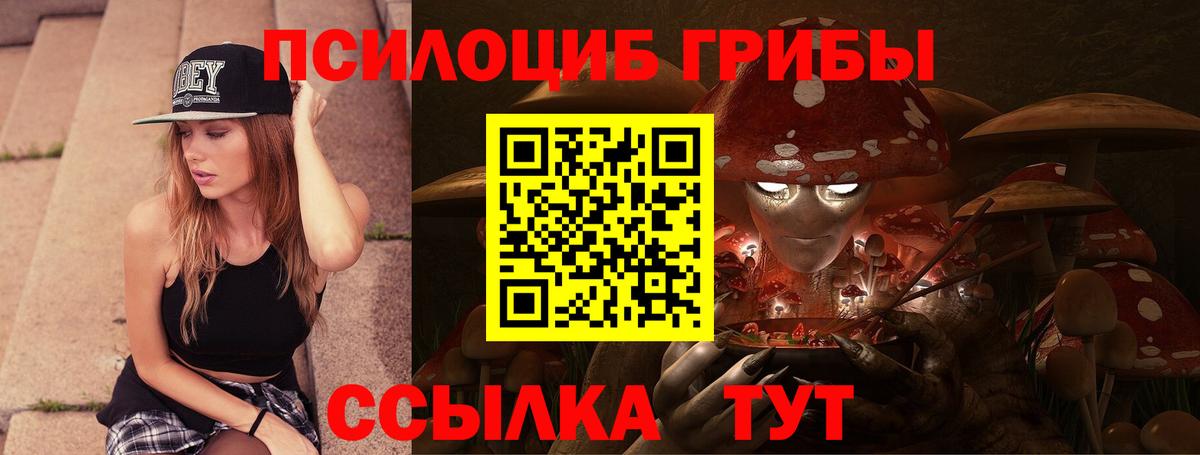 Псилоцибиновые грибы Psilocybe  Вход с VPN  Великий Устюг 